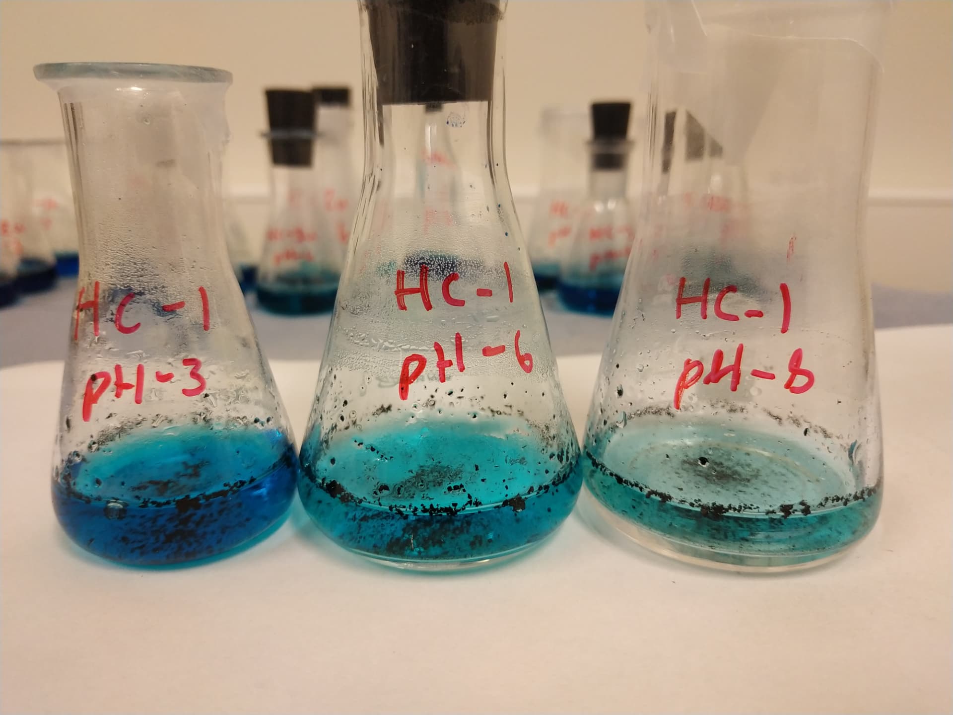Hydrochar production from forestry residues