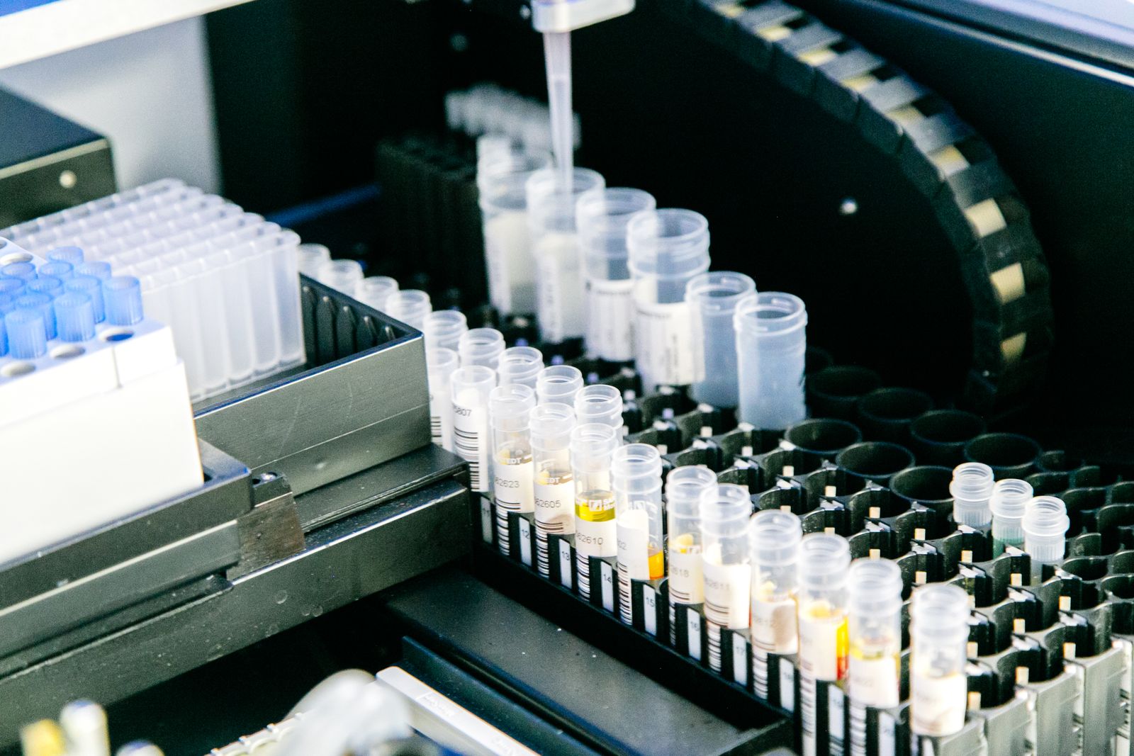 Rows of laboratory sample vials arranged alongside testing equipment.